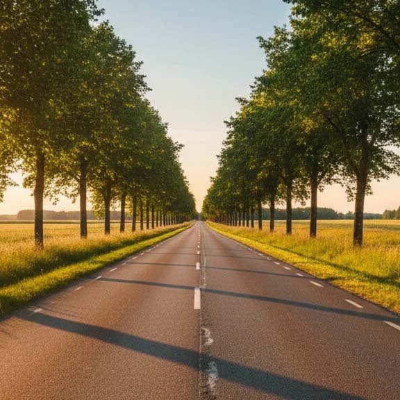 Rak landsväg kantad av träd i varmt solljus, symboliserar en harmonisk och säker körupplevelse med automatbil.